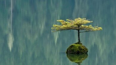 Photo of Виктор Ламбурт и Даниил Трабун:  Дзен у каждого свой
