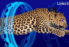 Photo of «Октябрьская эволюция» линкбилдинга от Sape