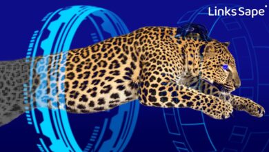 Photo of «Октябрьская эволюция» линкбилдинга от Sape