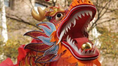 Photo of Как продавать товары из Китая на маркетплейсах: пошаговая инструкция